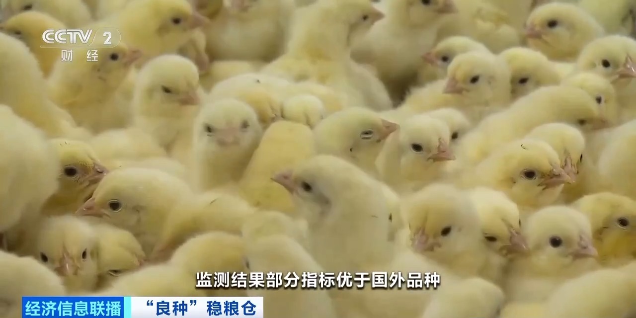 20260408094152_46030 J9国际集团(中国)-官方网站