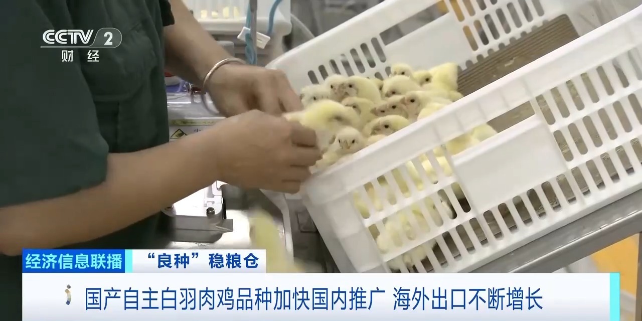 20260408094220_95222 J9国际集团(中国)-官方网站